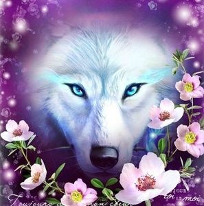 Meet your Posher, Janet